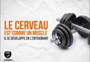 visuel-cerveau-muscle